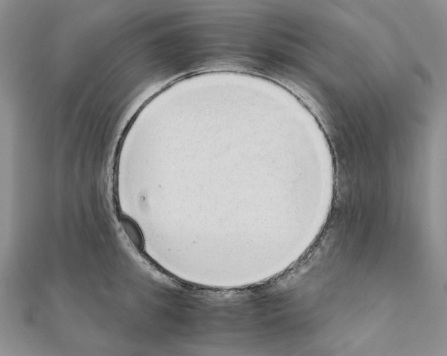 X0000110910949200907301538