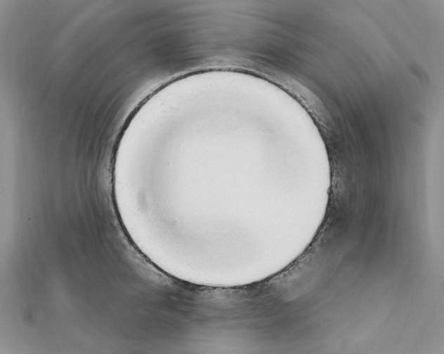 X0000110910950200907301538