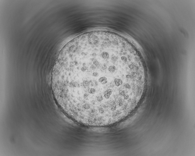 X0000110910953200907301539