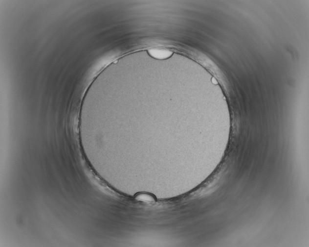 X0000110910954200907301539