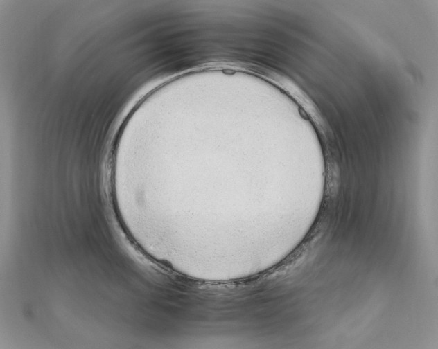 X0000110910955200907301539