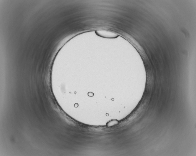 X0000110910956200907301539