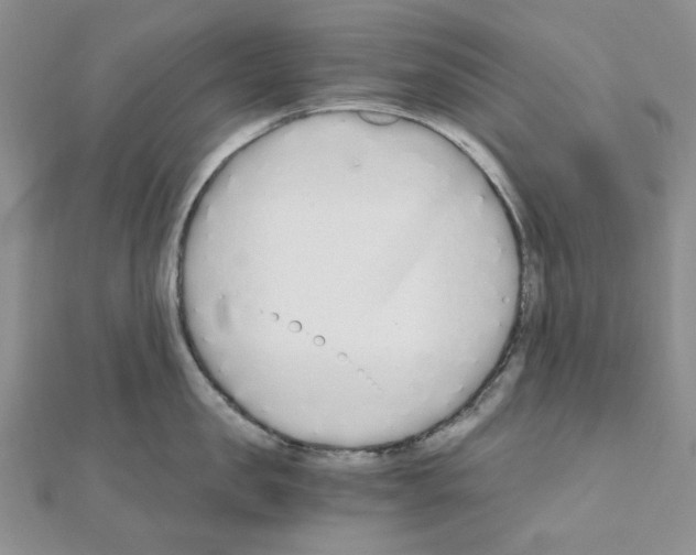 X0000110910957200907301539