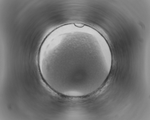 X0000110910958200907301539