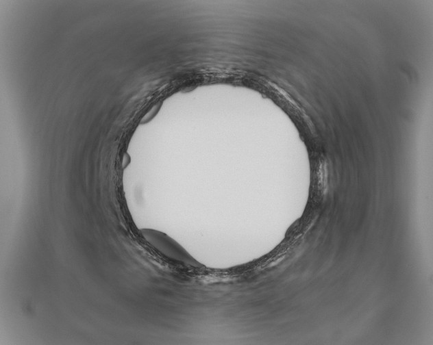 X0000110910961200907301538