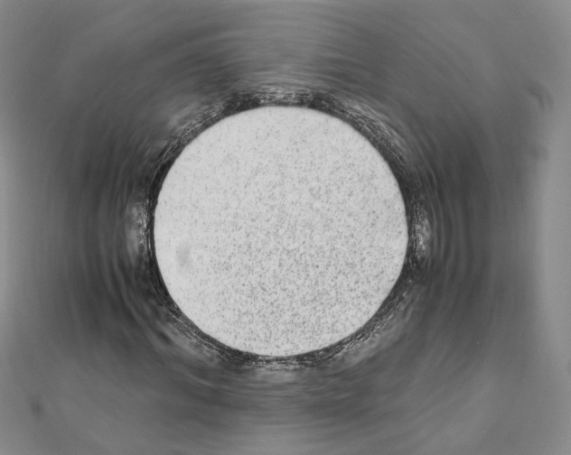 X0000110910964200907301538