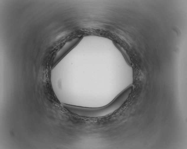 X0000110910965200907301538