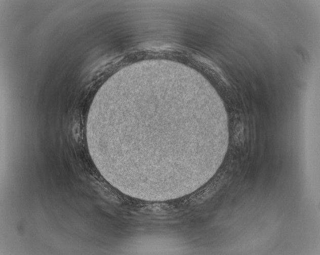 X0000110910966200907301538