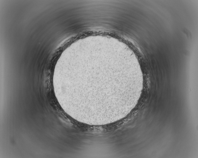 X0000110910968200907301538