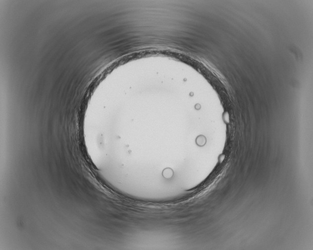 X0000110910969200907301538