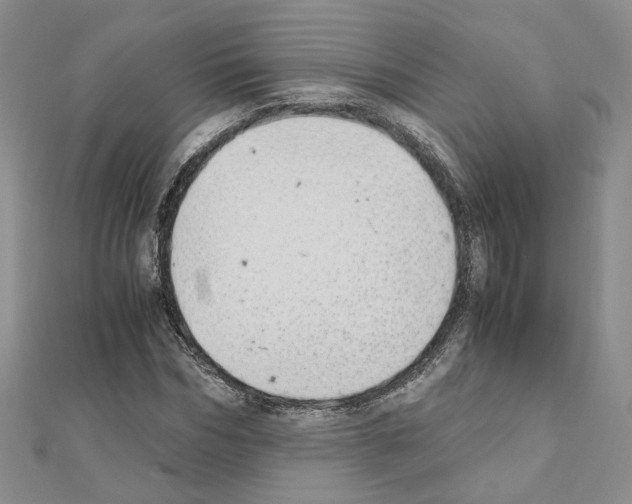 X0000110910970200907301538