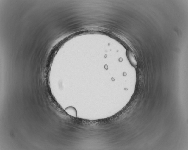 X0000110910971200907301538