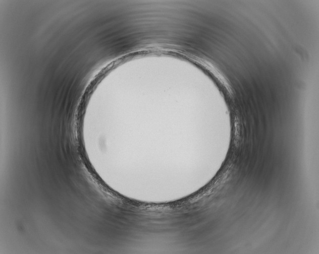 X0000110910972200907301538