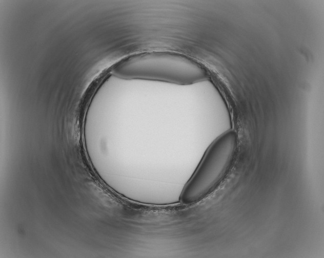 X0000110910973200907301538