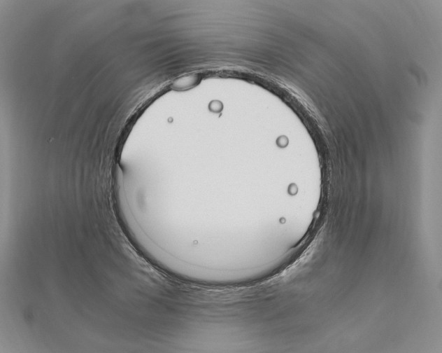 X0000110910977200907301538