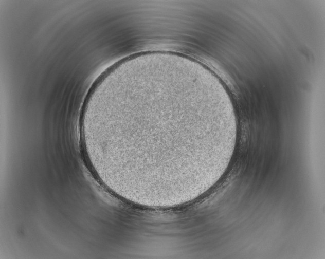 X0000110910980200907301538