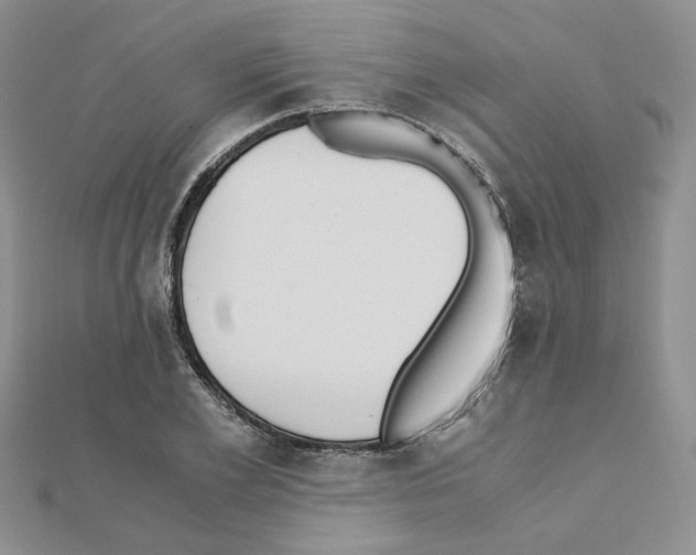 X0000110910981200907301538