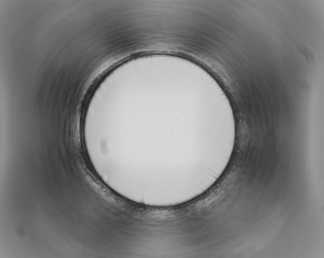 X0000110910982200907301538