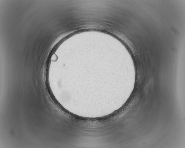 X0000110910983200907301538