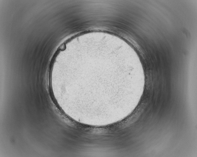 X0000110910984200907301538