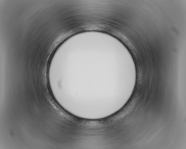 X0000110910986200907301538