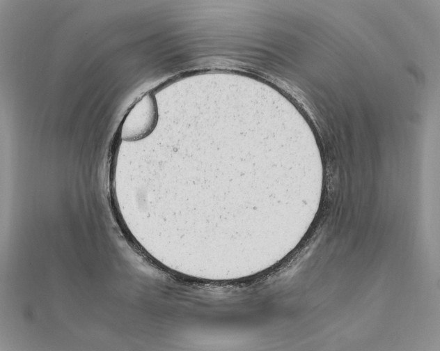 X0000110910987200907301538