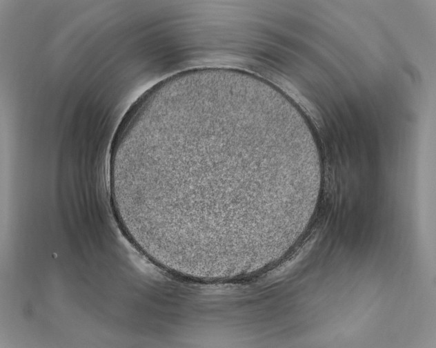 X0000110910988200907301538