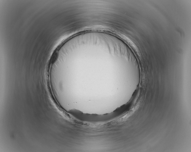 X0000110910989200907301538