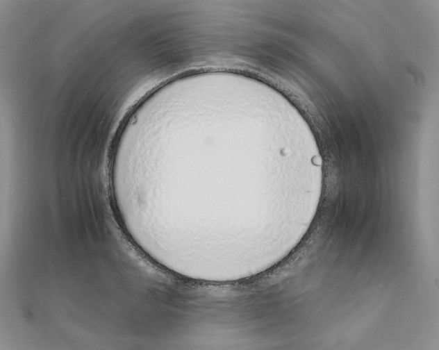 X0000110910990200907301538