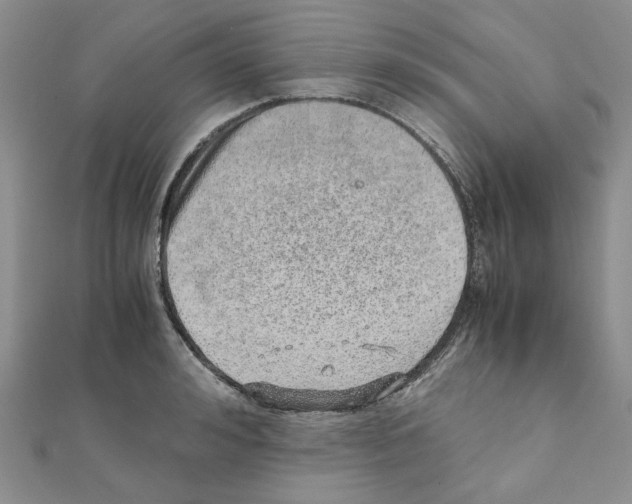 X0000110910992200907301538