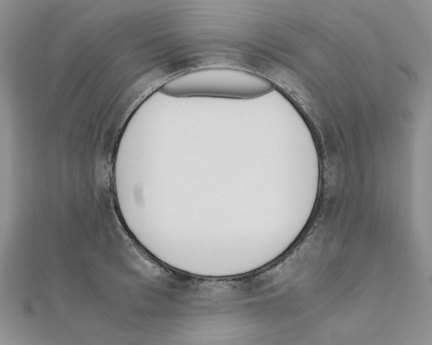 X0000110910993200907301538