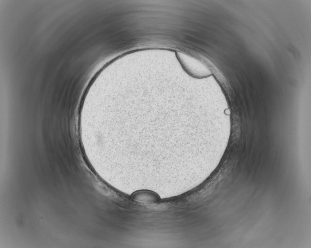 X0000110910996200907301538