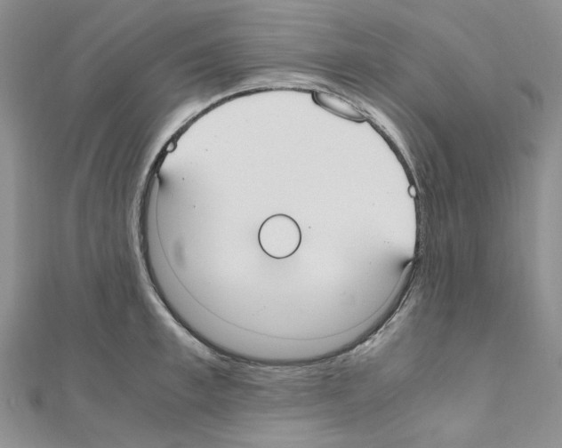 X0000110910997200907301538