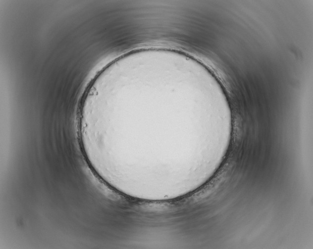 X0000110910998200907301538