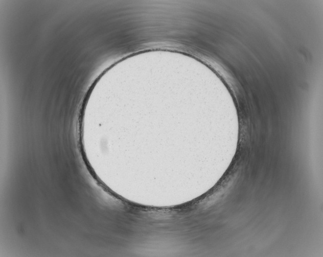 X0000110910999200907301538