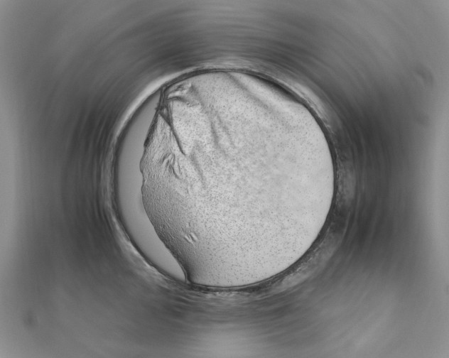 X0000110911000200907301538