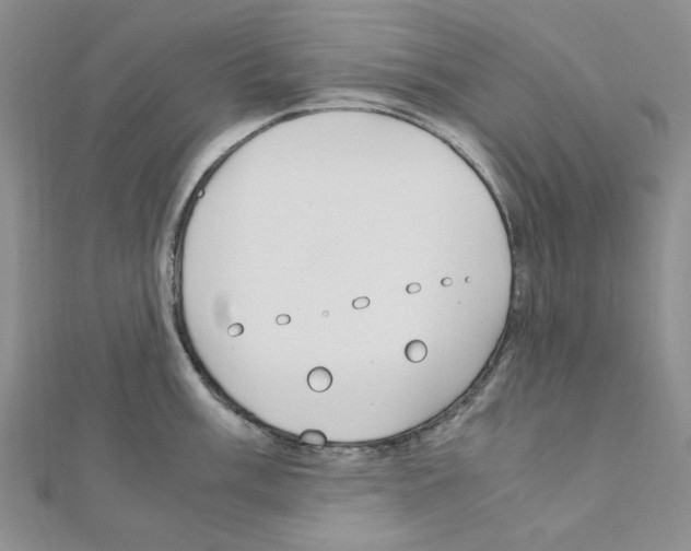 X0000110911003200907301537