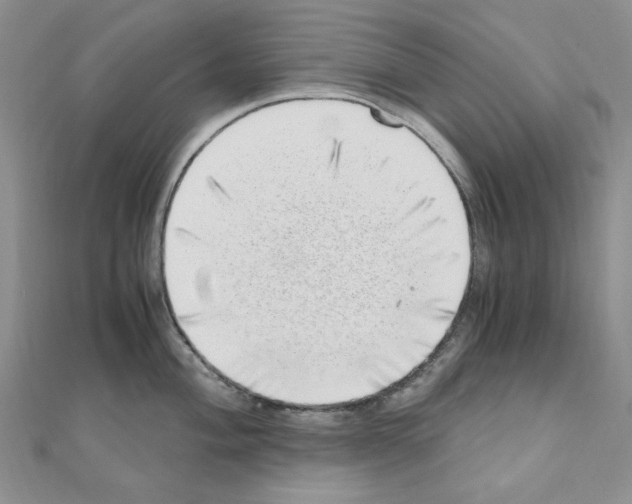 X0000110911004200907301537