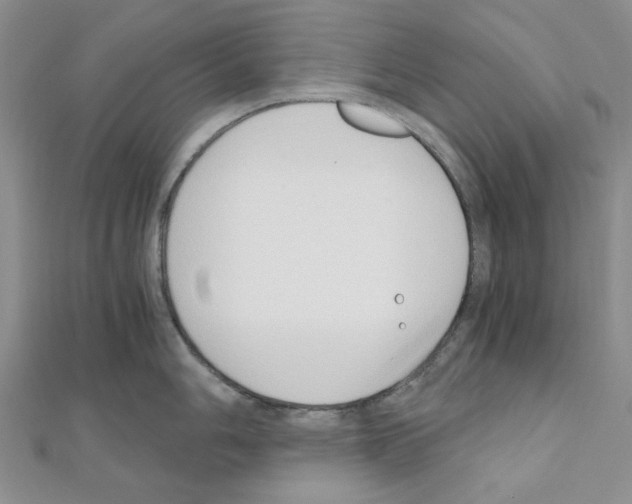 X0000110911006200907301537