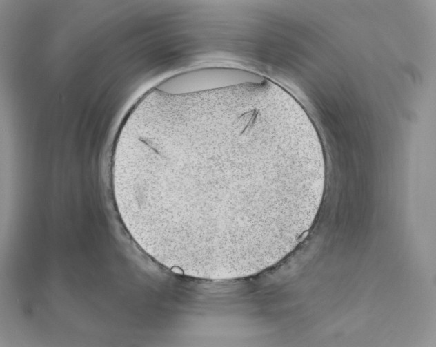 X0000110911008200907301537