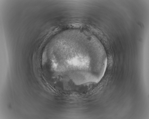 X0000110911009200907301537