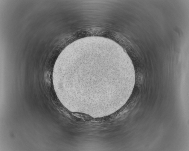 X0000110911010200907301537