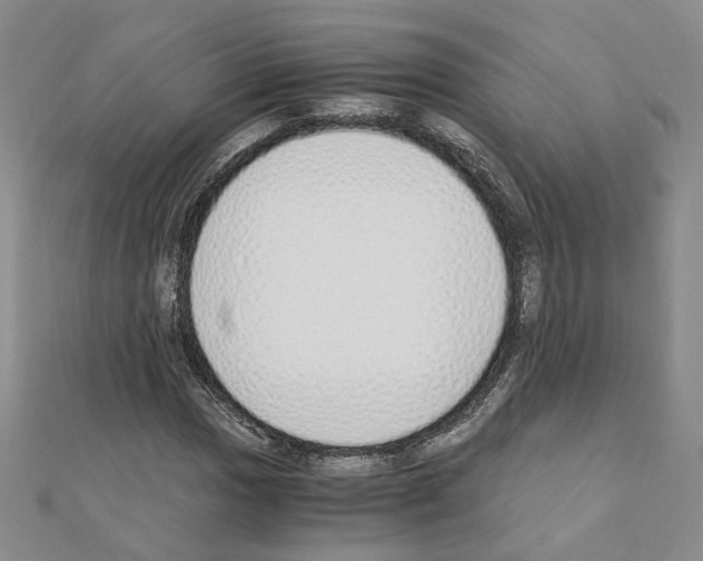 X0000110911017200907301537