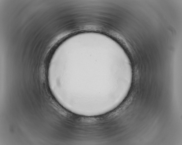 X0000110911019200907301537