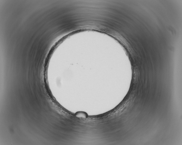 X0000110911020200907301537