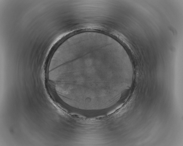 X0000110911024200907301537