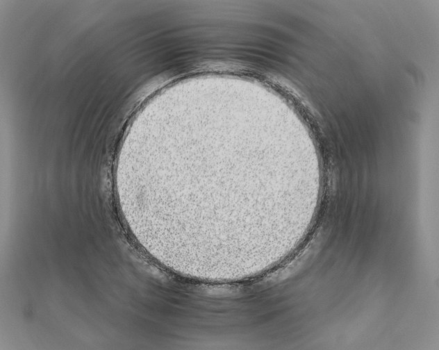 X0000110911025200907301537