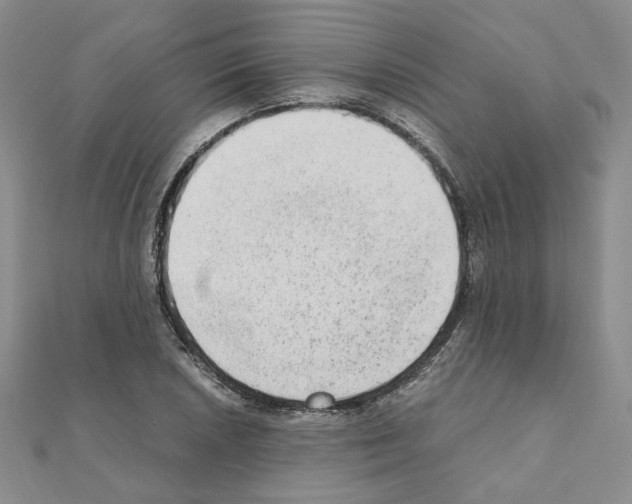 X0000110911026200907301537