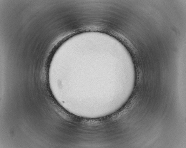 X0000110911027200907301537