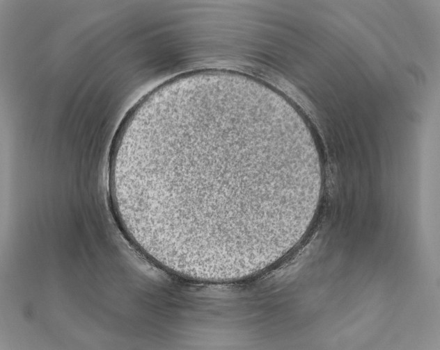 X0000110911028200907301537